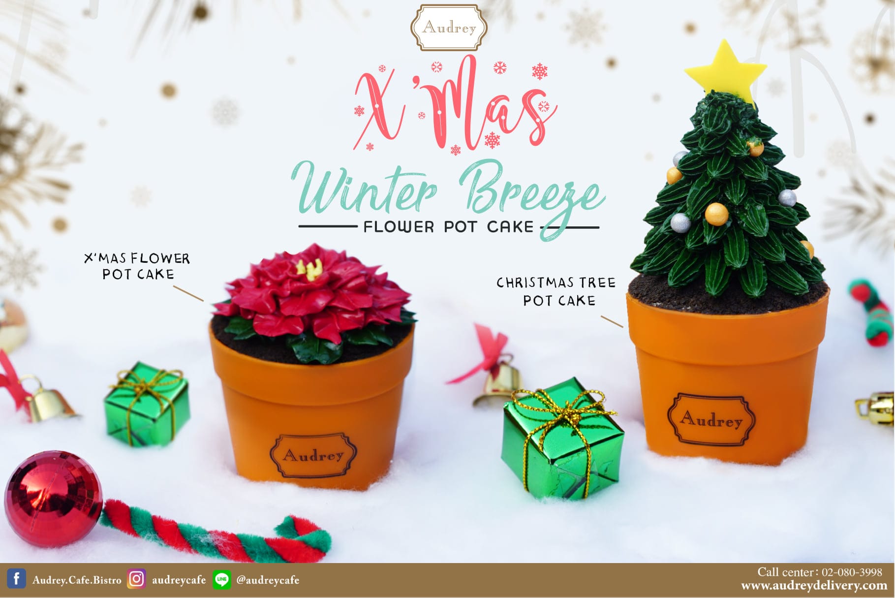 132891124 4862935533778765 1110162763424297124 n