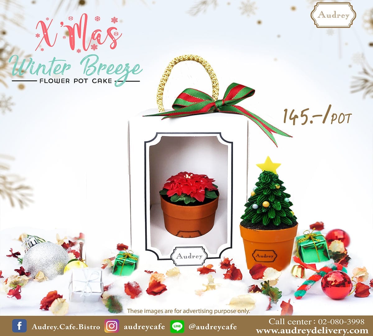 temp-131987753 4862934863778832 8491023796605022334 n